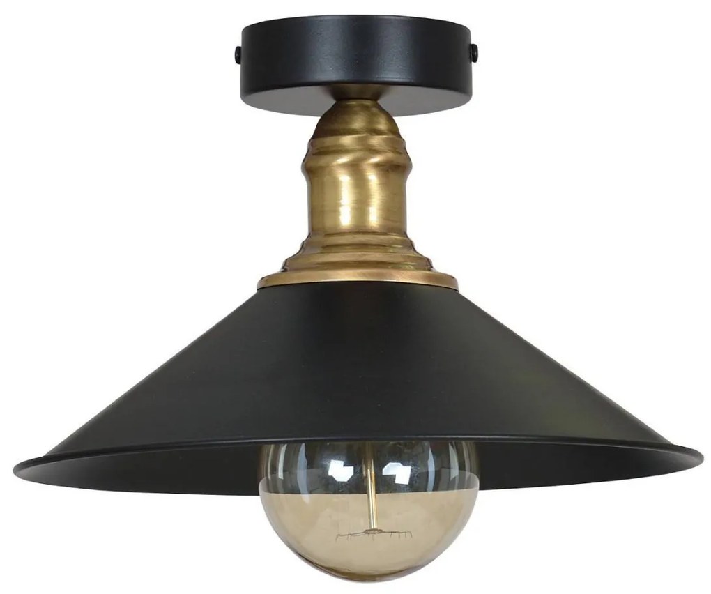 Stropné svietidlo Reno, 1x kovové tienidlo (výber z 2 farieb), g