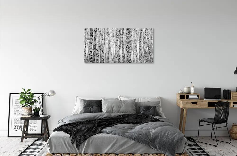 Sklenený obraz Čierna a biela breza 140x70 cm