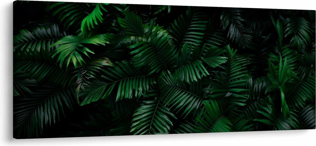 Obraz - Tropické papradie (120x50 cm)