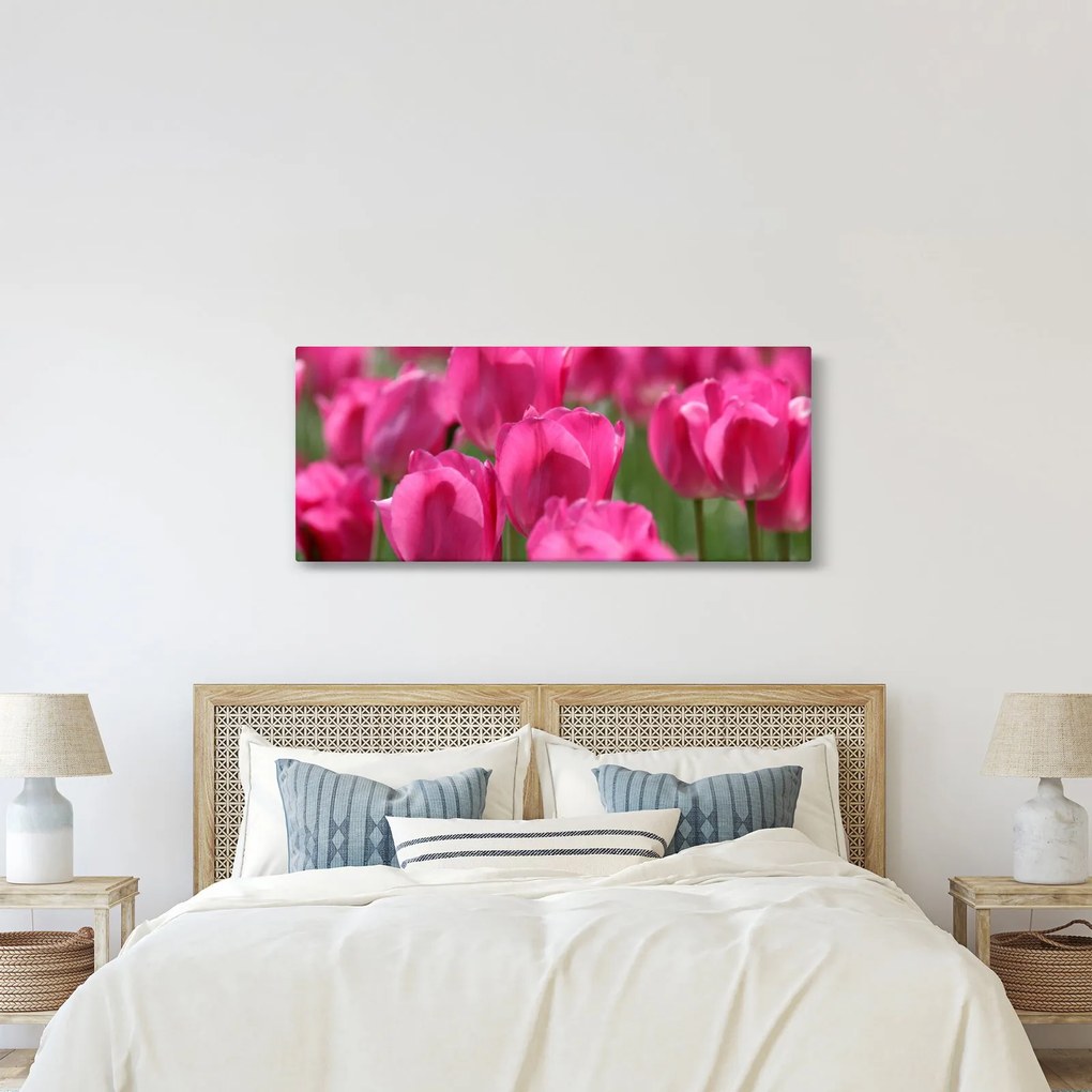 Obraz - Ružové tulipány (120x50 cm)