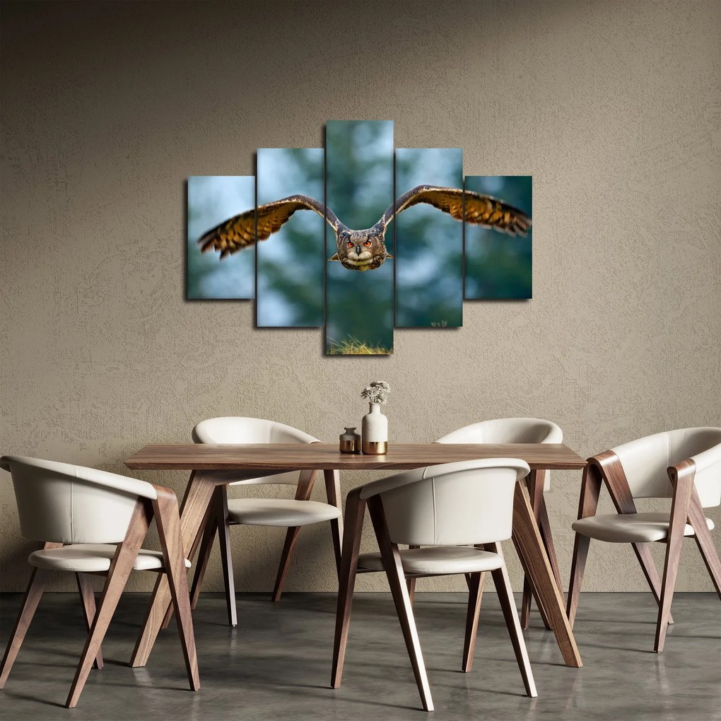 Obraz - Sova pri lete (150x105 cm)