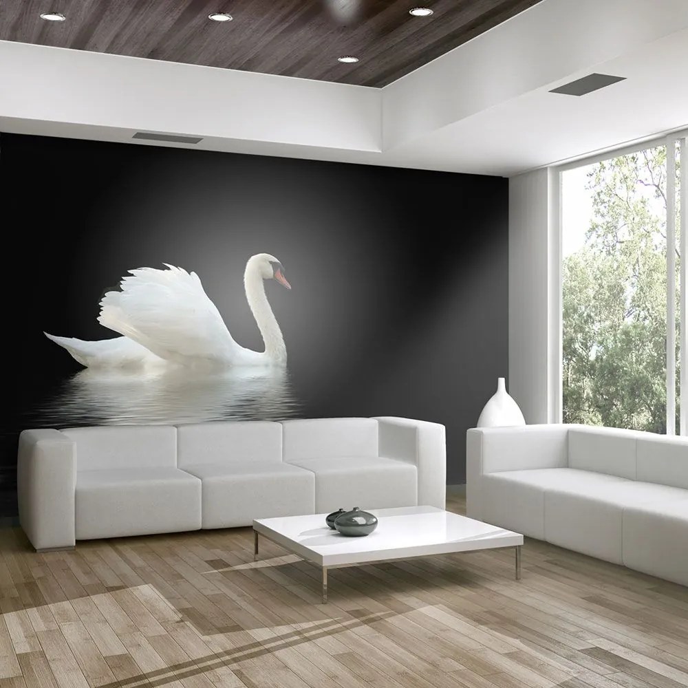 Fototapeta - swan (black and white) 200x154
