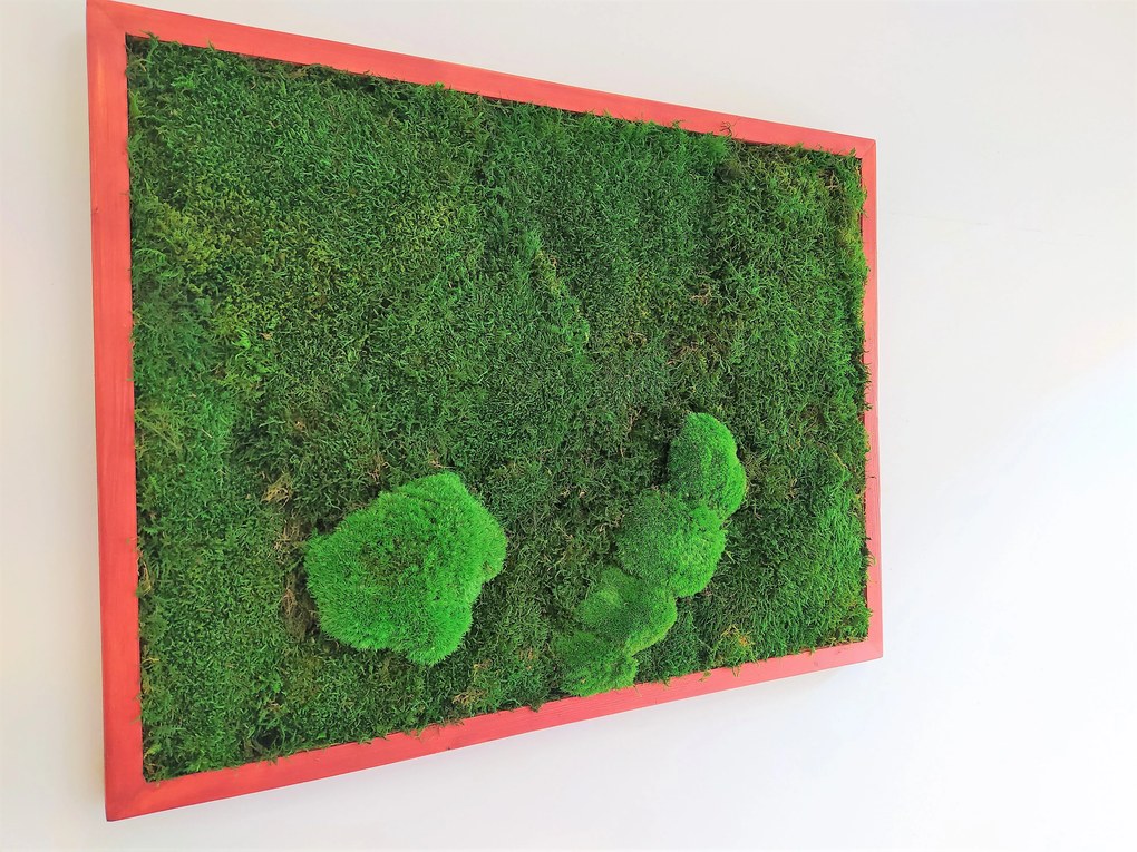 Machový obraz z plochého + kopčekového machu 90cm x 100cm