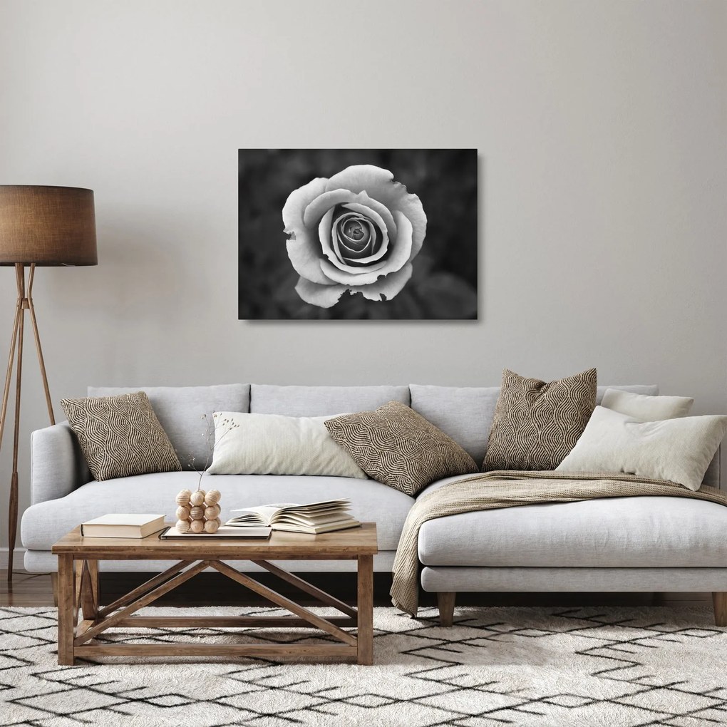 Sklenený obraz ruže (70x50 cm)