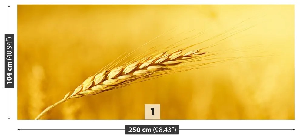 Fototapeta Vliesová Klas pšenice 152x104 cm