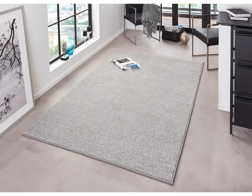 Svetlosivý koberec Hanse Home Pure, 200 x 300 cm