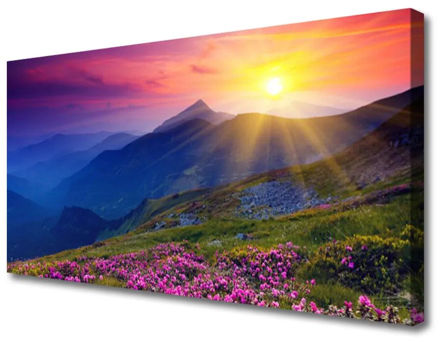 Obraz na plátne Hory kvet lúka krajina 120x60 cm