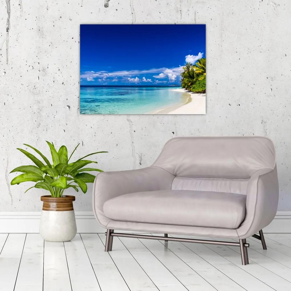 Sklenený obraz tropickej pláže (70x50 cm)