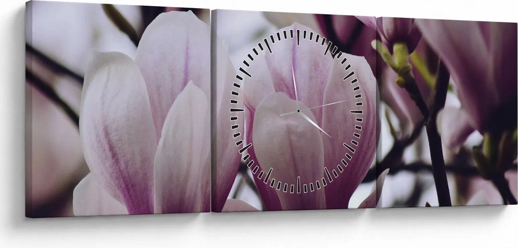 Obraz - Magnolie (s hodinami) (90x30 cm)