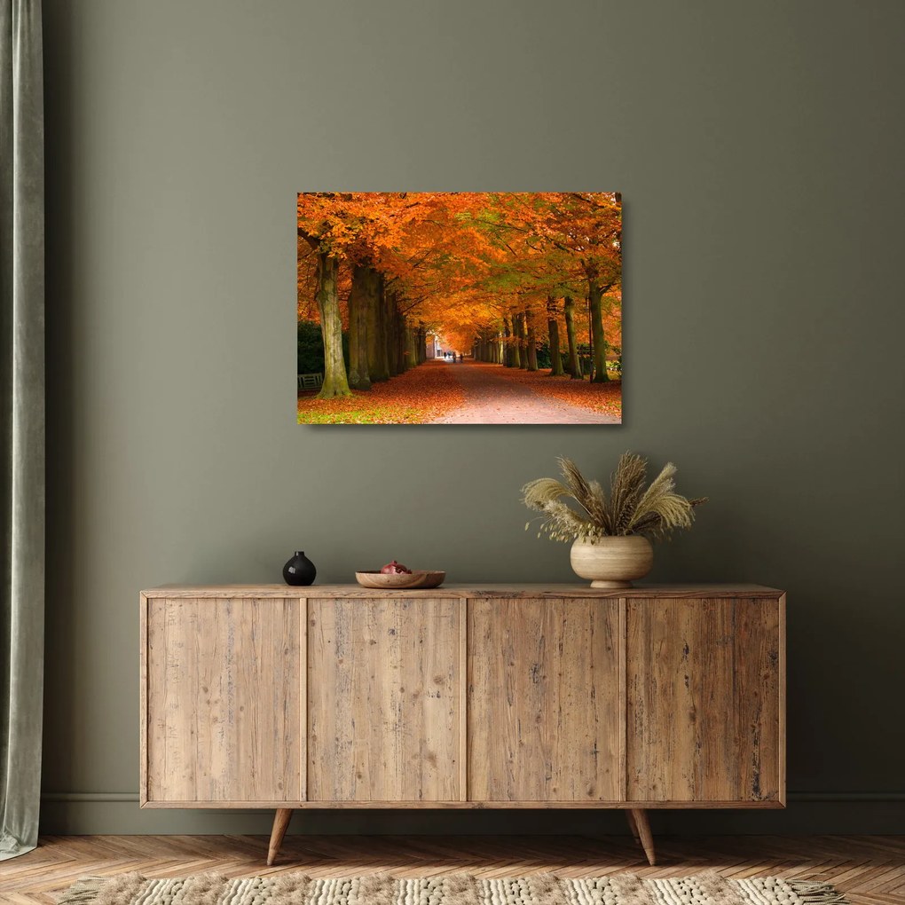Sklenený obraz - Jeseň Alej stromov (70x50 cm)