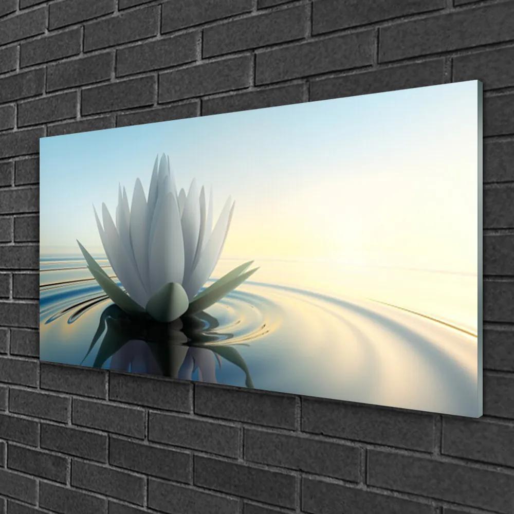 Skleneny obraz Vodné lilie rybník príroda 120x60 cm