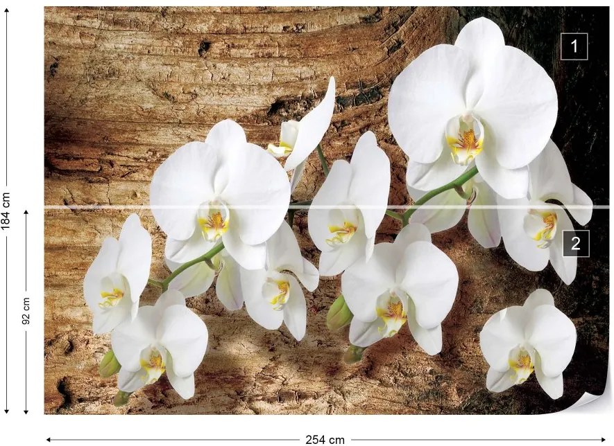 GLIX Fototapeta - Flowers White Orchids Wood Background Vliesová tapeta  - 254x184 cm