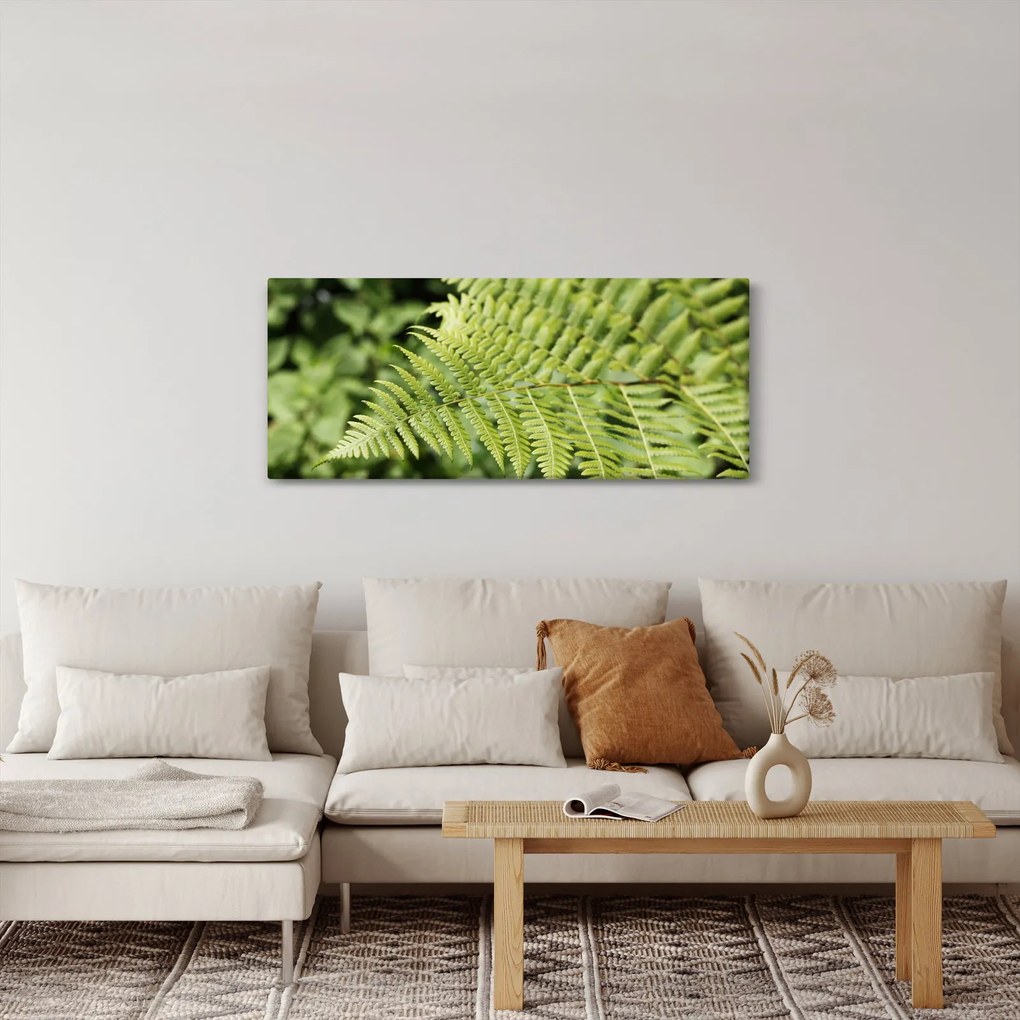 Obraz - Papradinový list (120x50 cm)