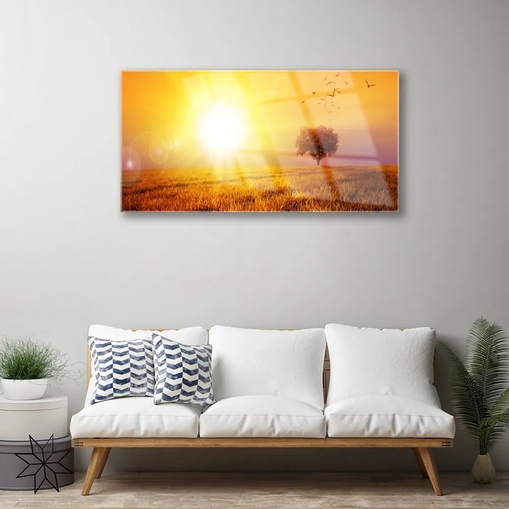 Skleneny obraz Západ slnka lúka plátky 125x50 cm