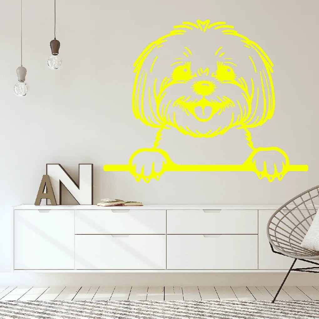 Veselá Stena Samolepka Bišónik Farba: béžová, Veľkosť: 100 x 81 cm