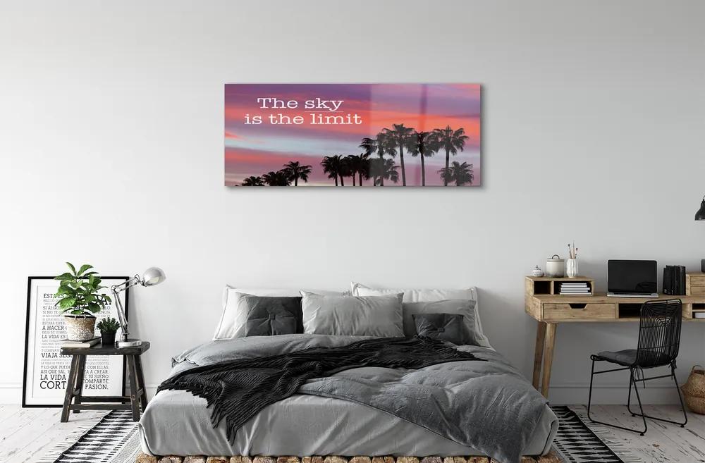 Obraz plexi Palm západu slnka 120x60 cm