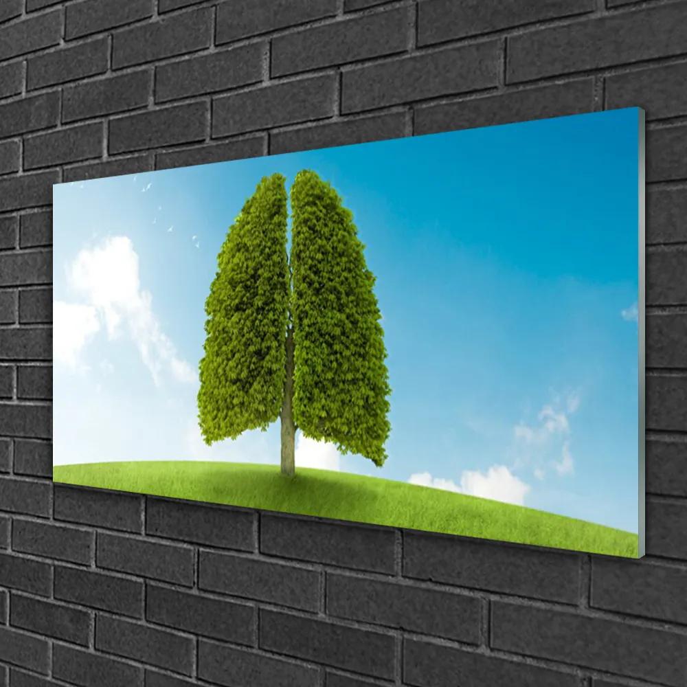 Skleneny obraz Tráva strom pľúca príroda 140x70 cm