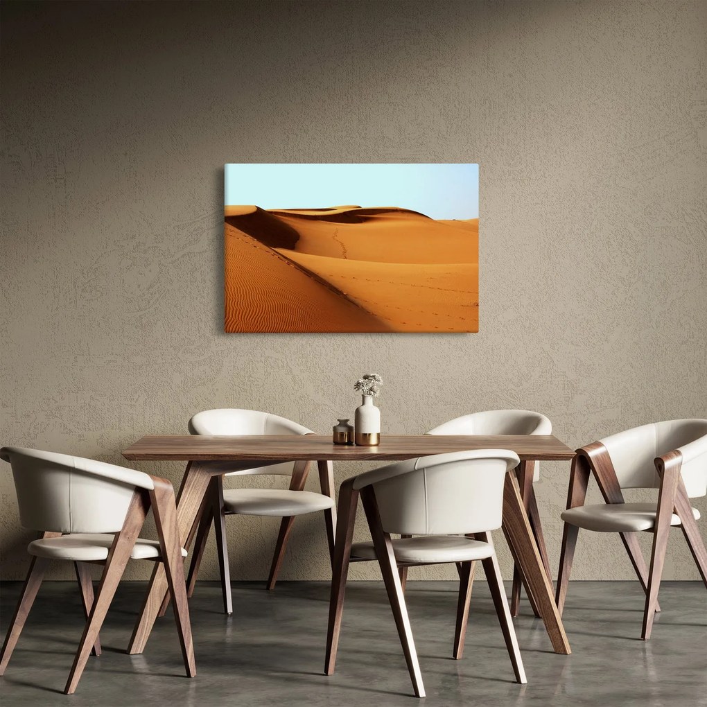 Obraz - Stopy v púšti (90x60 cm)