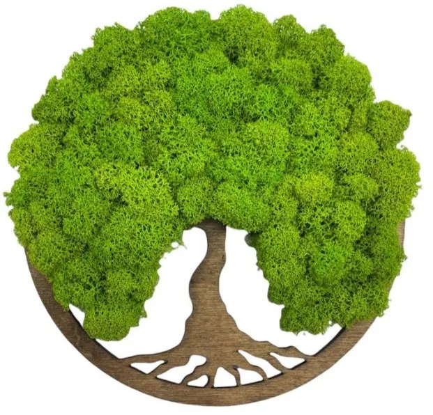 Strom na stenu z machu Cyrene 20 cm