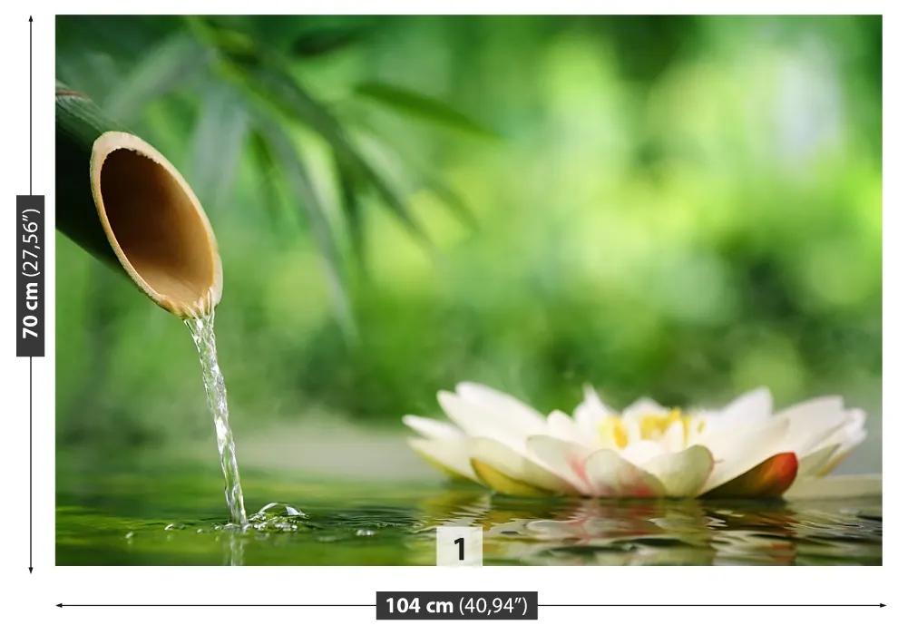 Fototapeta Vliesová Bambusová fontána 104x70 cm