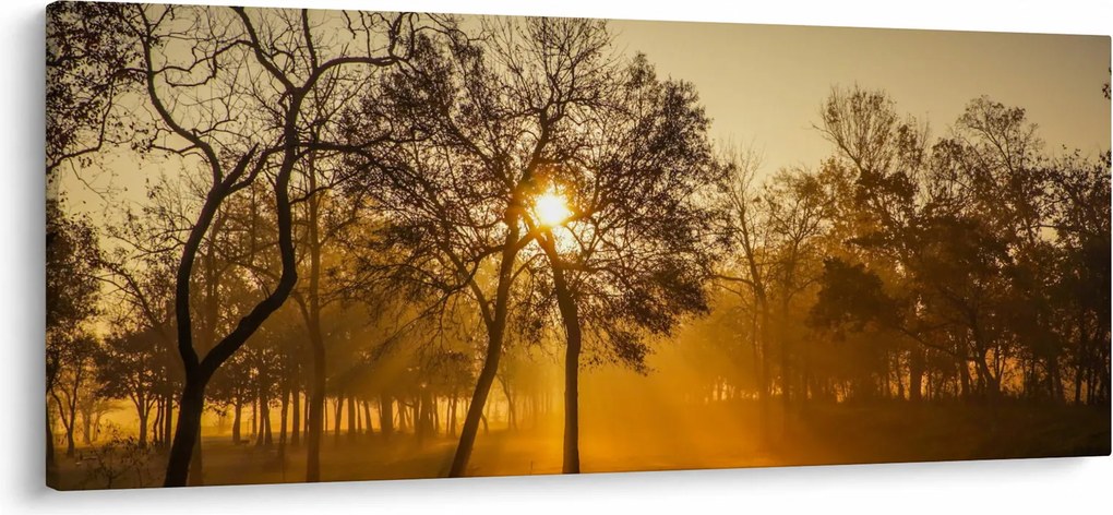 Obraz východu slnka (120x50 cm)