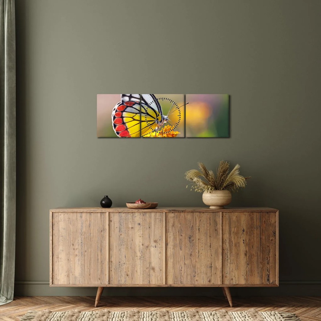 Obraz motýľa na kvete (s hodinami) (90x30 cm)
