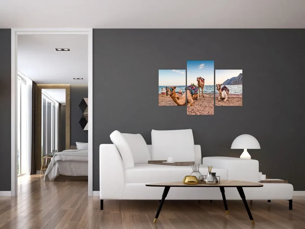 Obraz tiav (90x60 cm)