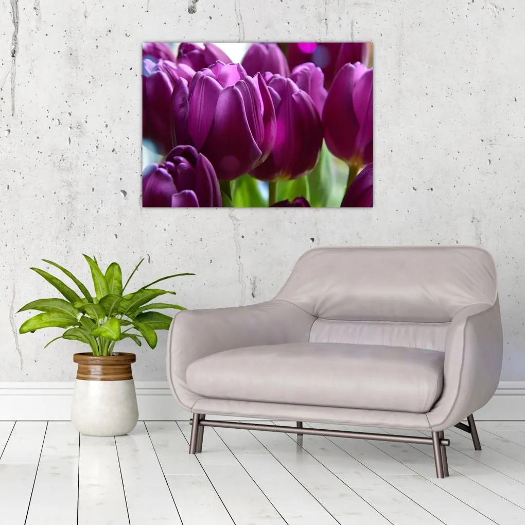 Sklenený obraz tulipánov (70x50 cm)
