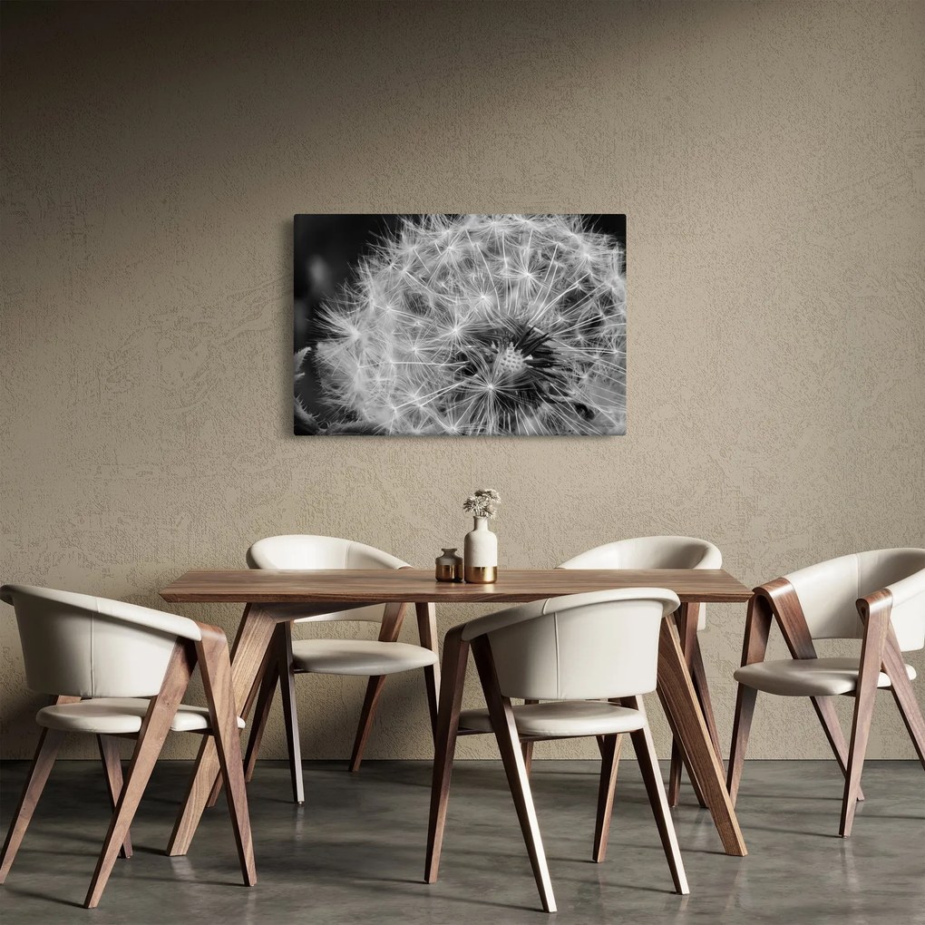 Obraz - páperie púpav (90x60 cm)
