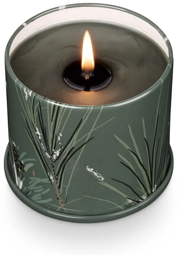 Vonná sójová sviečka doba horenia 50 h Balsam &amp; Cedar – ILLUME x Bloomingville