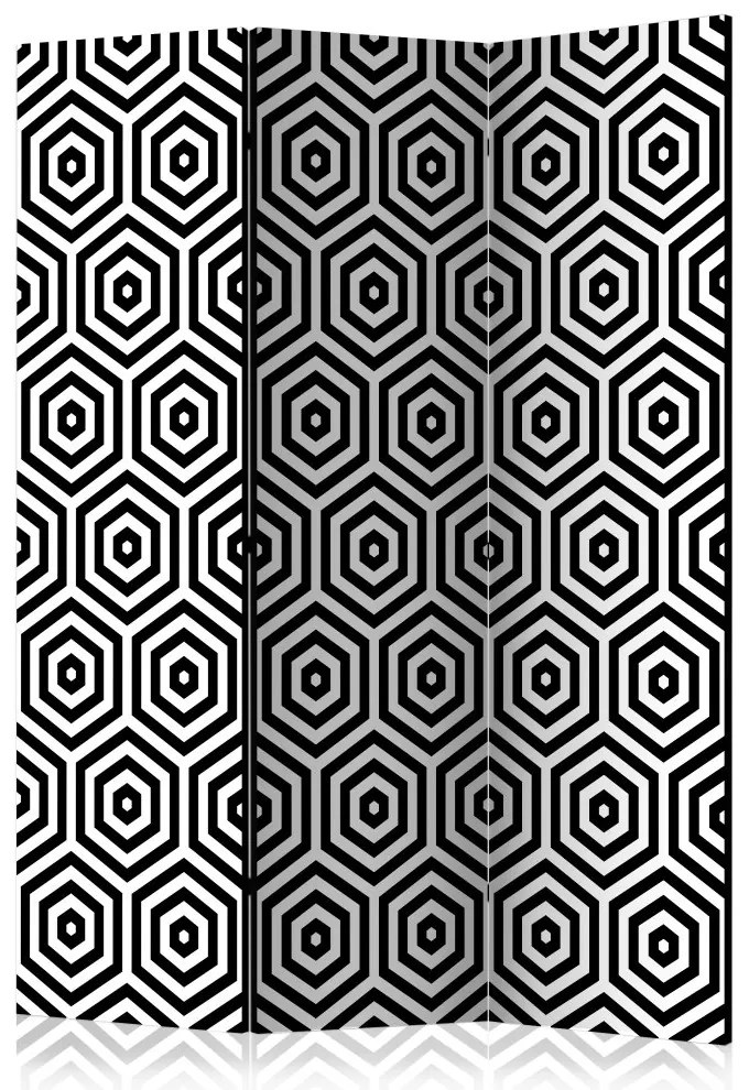 Artgeist Paraván - Black and White Hypnosis [Room Dividers]