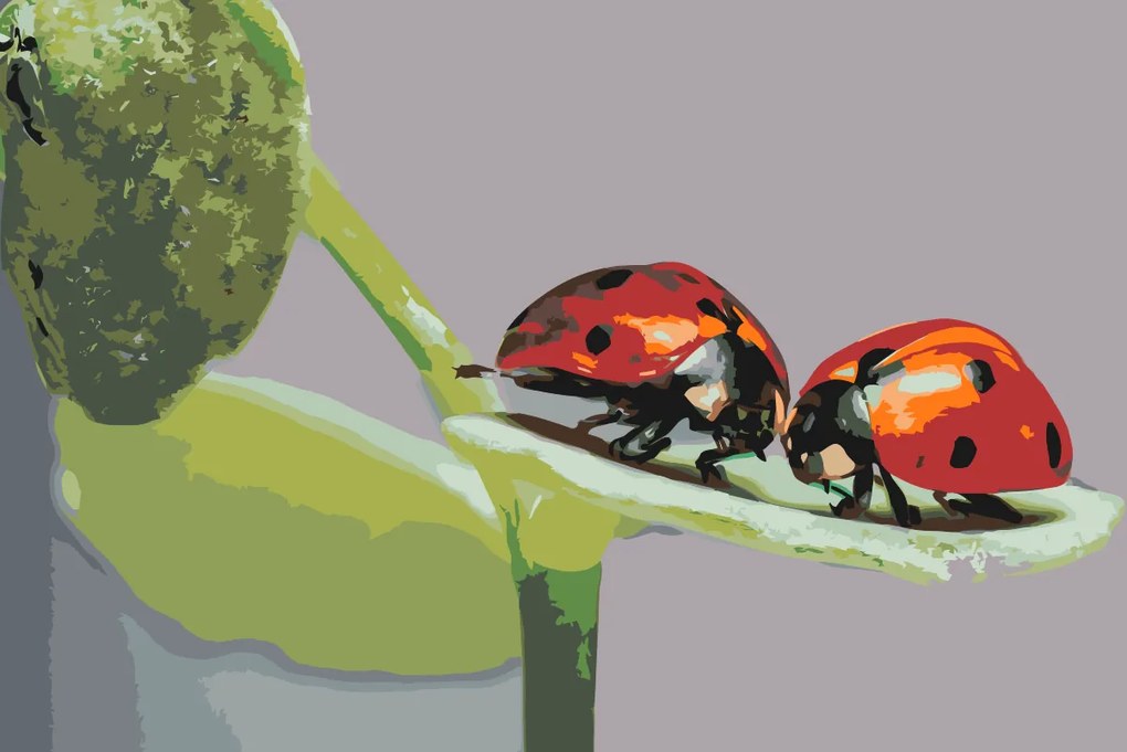 Gario Maľovanie podľa čísel Lienky Rozmery: 60 x 40 cm, Rámovanie: S vnútorným rámom
