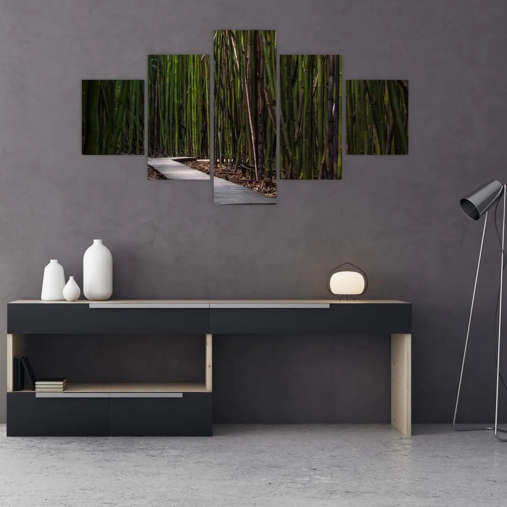 Obraz - Medzi bambusy (125x70 cm), 40 ďalších rozmerov