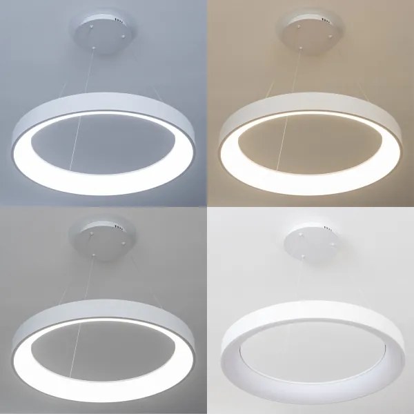 Brilagi - LED stmievateľný luster na lanku FALCON II LED/99W/230V priemer 60 cm biela + diaľkové ovládanie