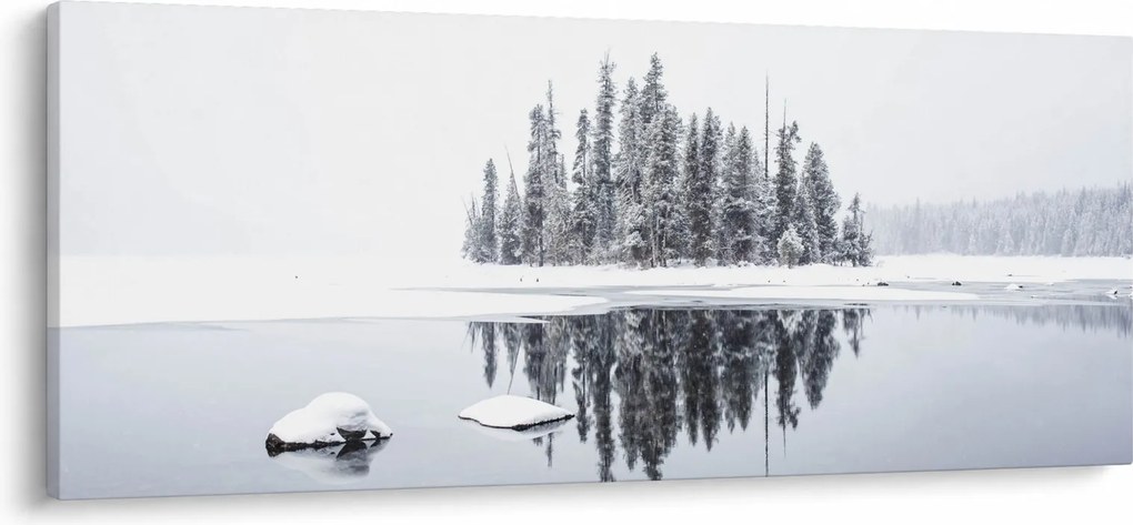 Obraz- Bolo bielo (120x50 cm)