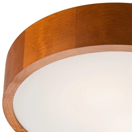 Stropné svietidlo 2xE27/60W/230V