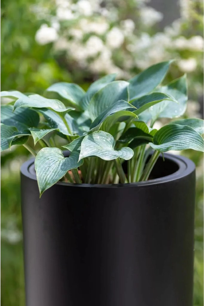 Kvetináč SOLERIO, sklolaminát, výška 100 cm, čierna