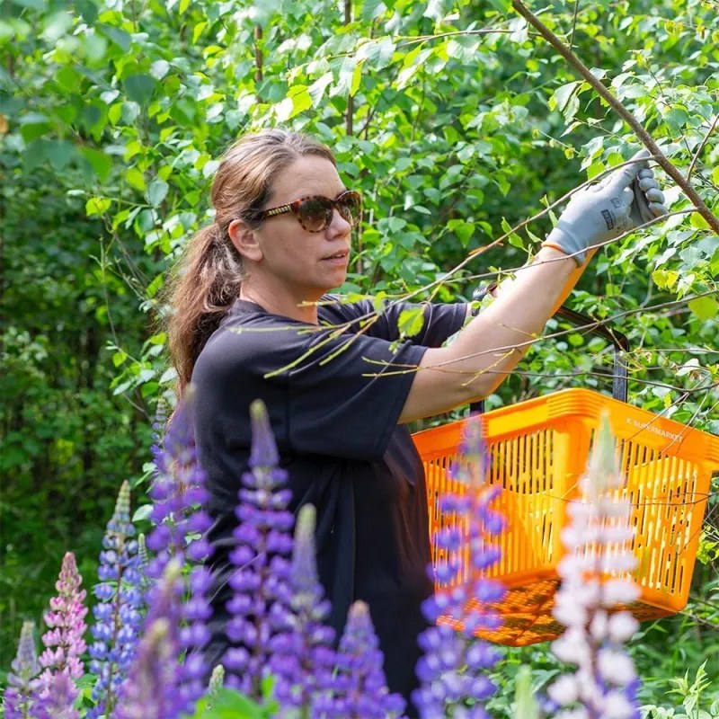 Prírodná vôňa do sauny breza-levanduľa 3ks
