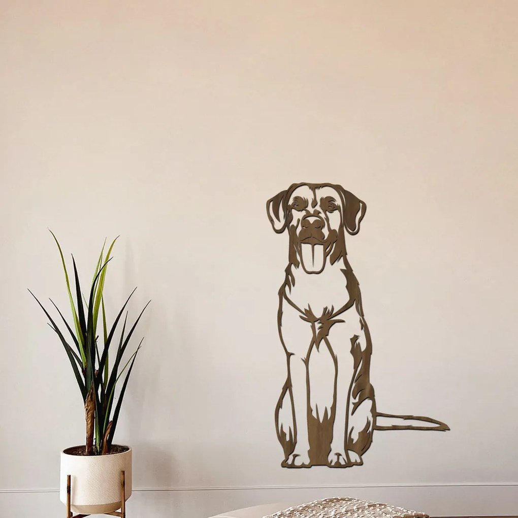 dřevo života Drevená dekorácia psa Ridgeback Rozmery - cm: 19x30, Zvoľte farbu dekoru: Buk