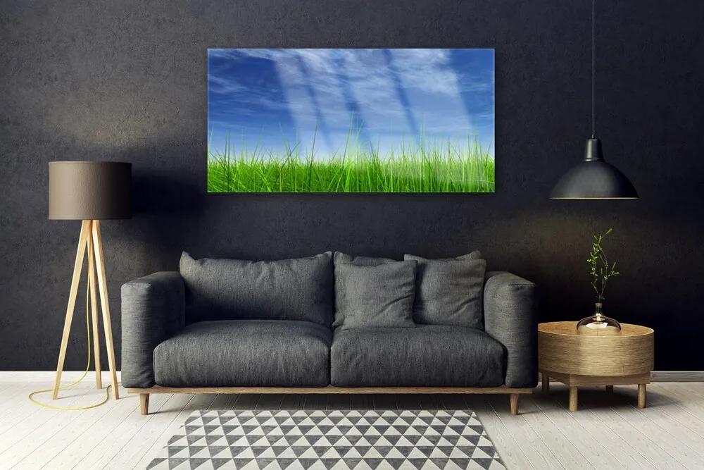 Obraz na akrylátovom skle Nebo tráva príroda 120x60 cm
