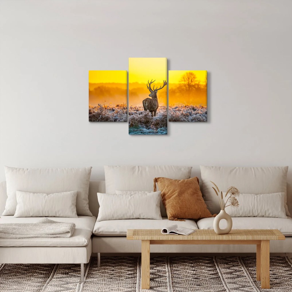Obraz - Jeleň pri východe slnka (90x60 cm)