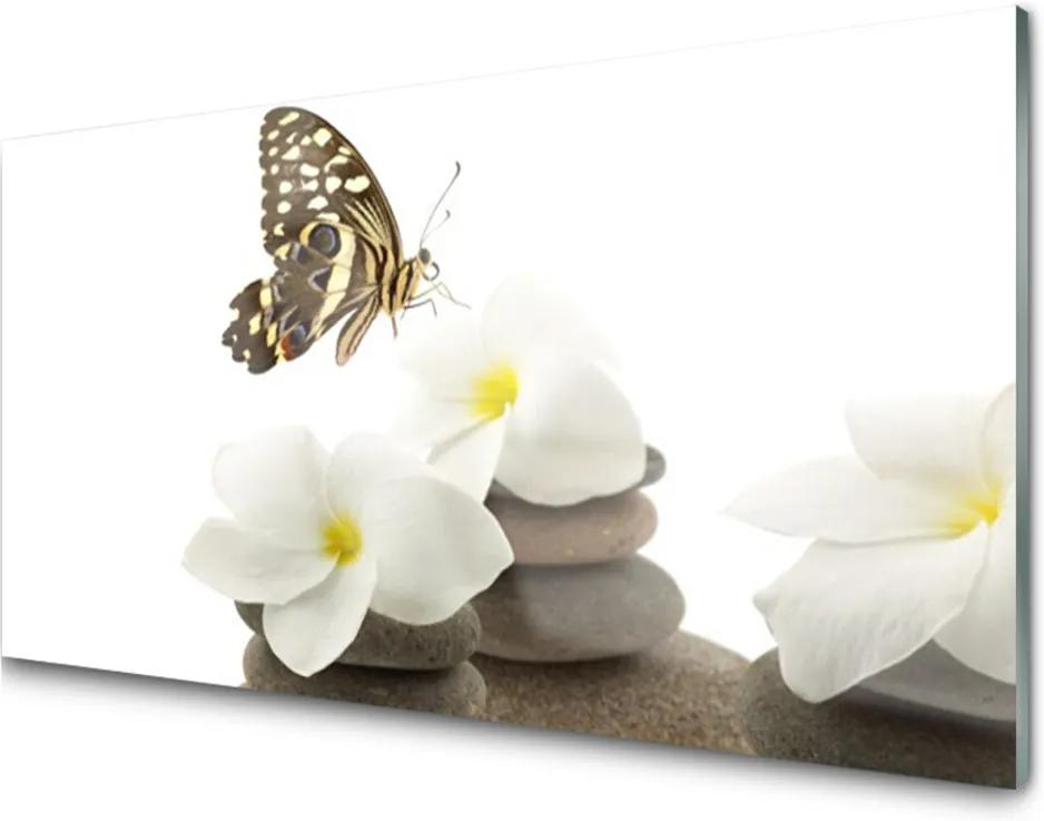 Skleněný obraz Motýl květ kameny rostlina