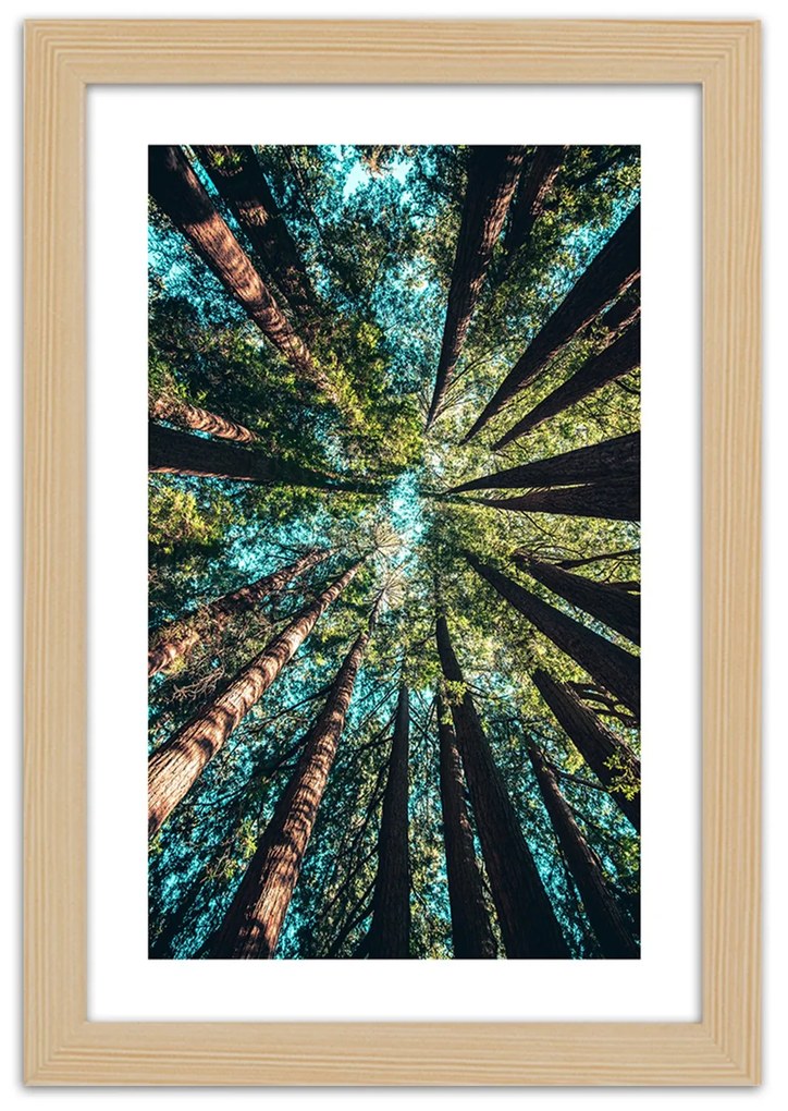 Gario Plagát Konáre vysokých stromov Farba rámu: Bez rámu, Rozmery: 20 x 30 cm
