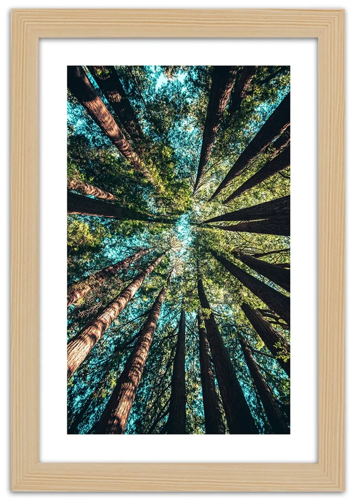 Gario Plagát Konáre vysokých stromov Farba rámu: Bez rámu, Rozmery: 60 x 90 cm