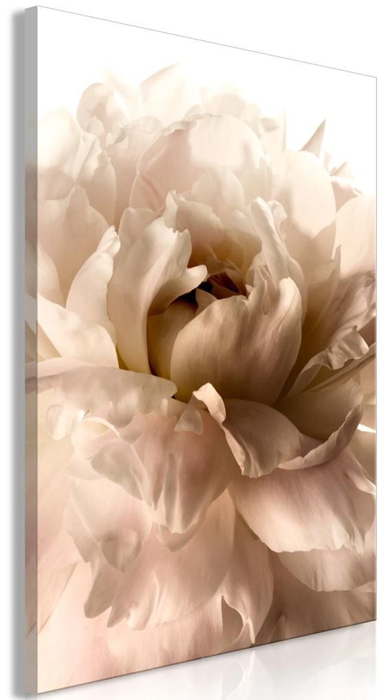 Artgeist Obraz - Soft Petals (1 Part) Vertical Veľkosť: 40x60, Verzia: Premium Print