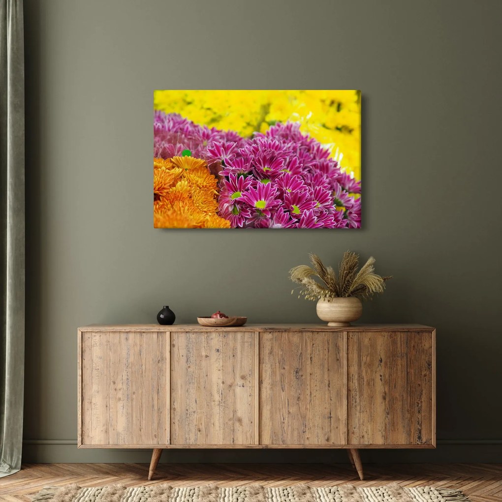 Obraz ružového kvetu (90x60 cm)
