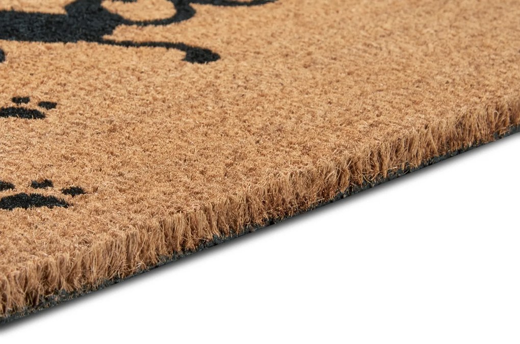 Hanse Home Collection koberce Rohožka Mix Mats Cocos 105666 - 45x75 cm