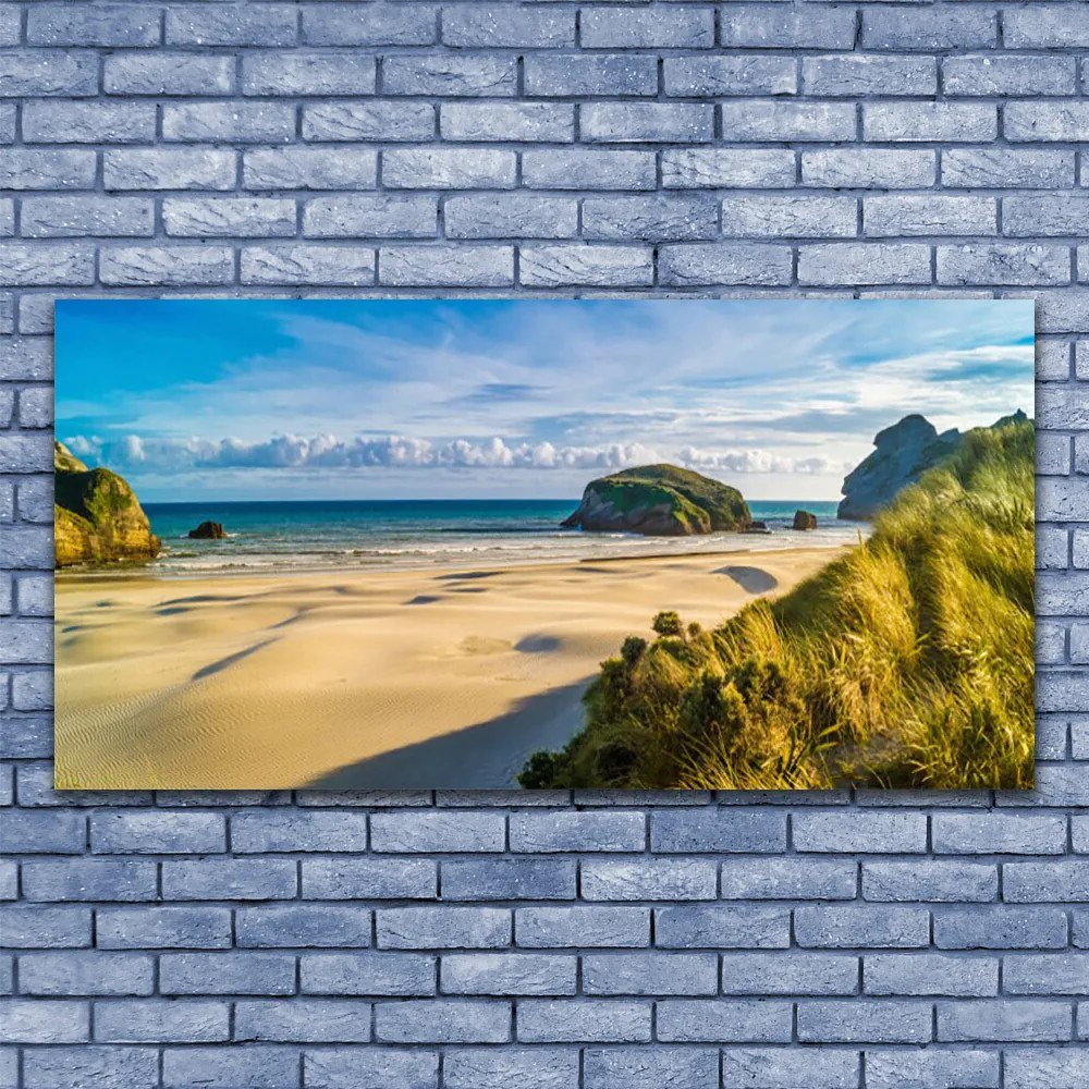 Obraz plexi Pláž kamene krajina 120x60 cm
