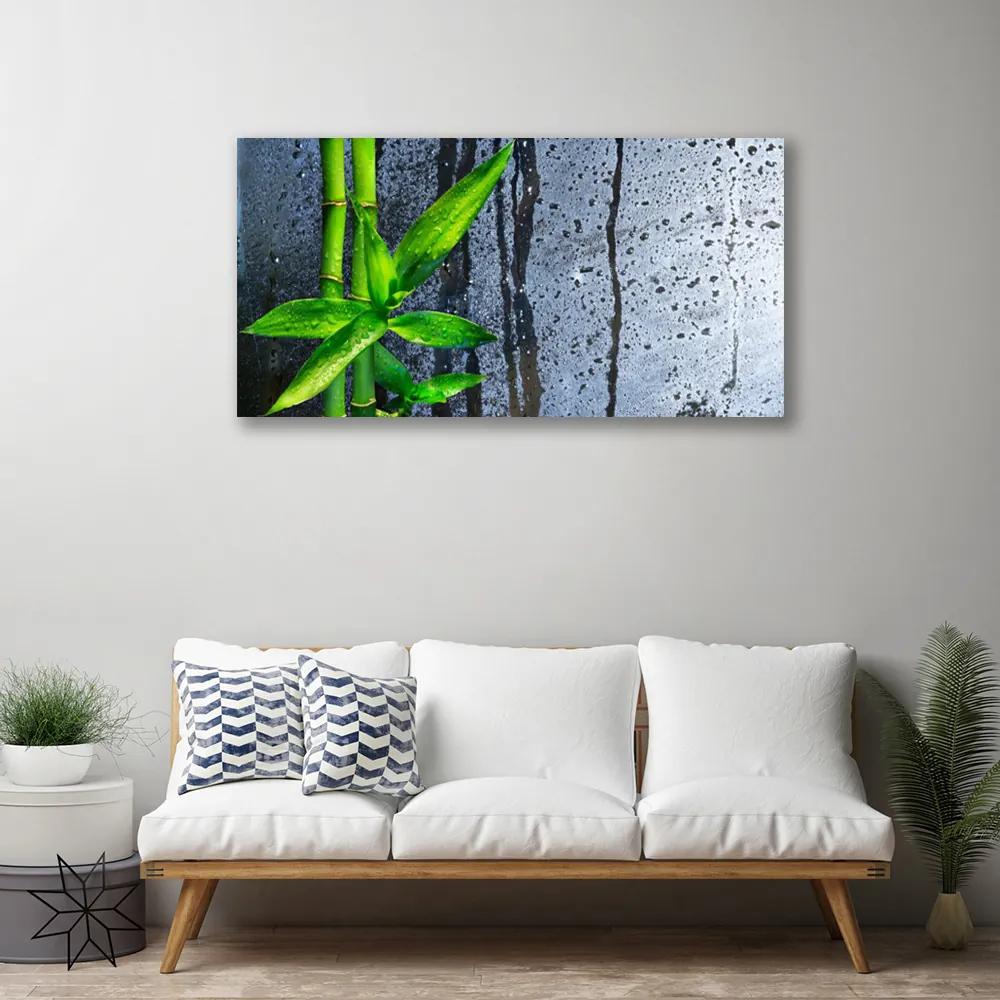 Obraz Canvas Bambus list rastlina príroda 140x70 cm