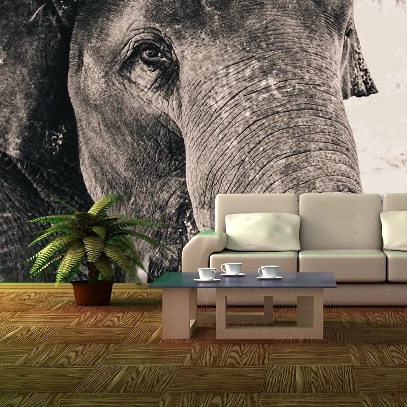 Sablio Tapeta Slon - 125x75 cm